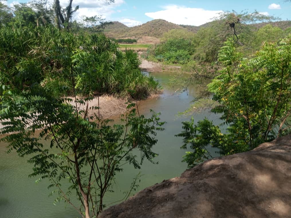 456fdf3d 1c5f 4a7f a550 aa8731c87251