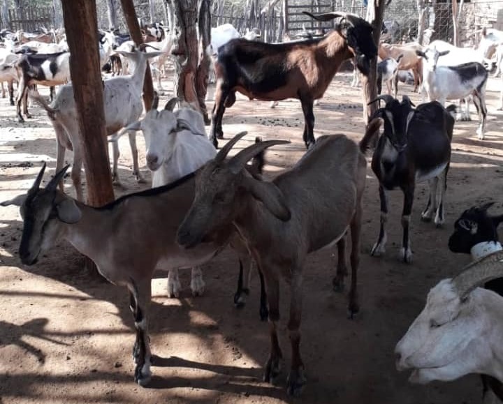 484486625 1047362830756842 5359412607564213852 n