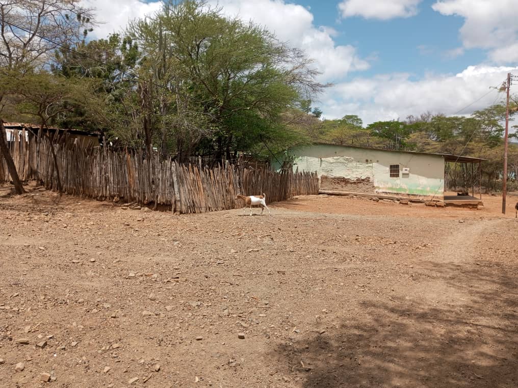 c8ce90a2 1a48 4213 9ae5 a2eeea2a66fa